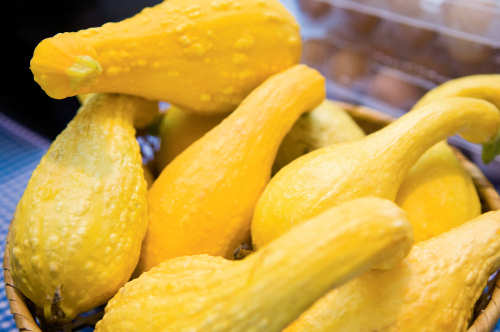 Squash is one of summerâ€™s most abundant vegetables, overflowing in ...